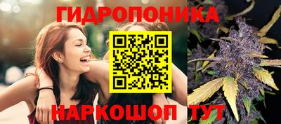 PSILOCYBIN Мариинск