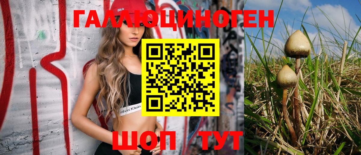 купить  сайты  Галлюциногенные грибы Magic Shrooms  Вход с VPN  Южно-Сахалинск 