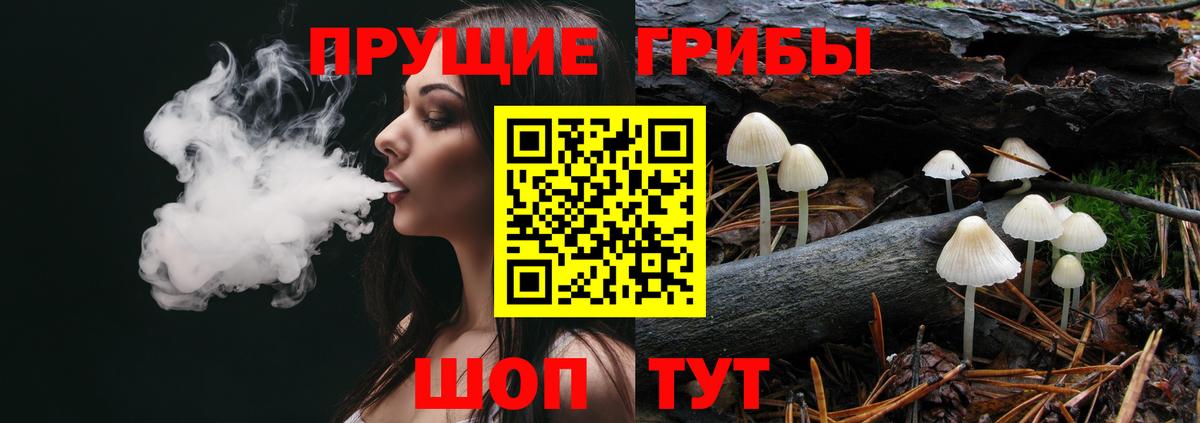 Псилоцибиновые грибы Psilocybine cubensis Южно-Сахалинск